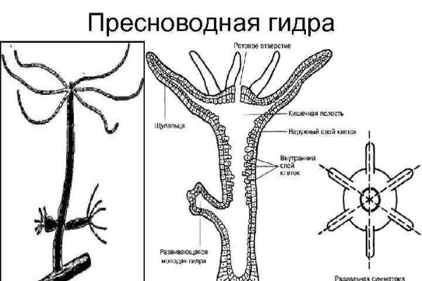 Кракен рабочая ссылка