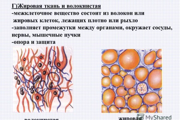 Актуальное зеркало на кракен